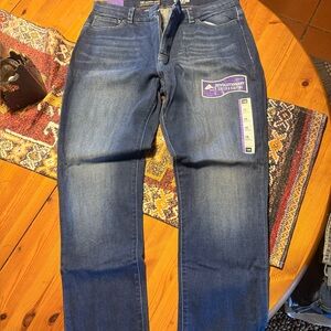 Lee Midrise Blue Skinny Jeans